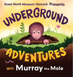 A graphic image of a mole coming out from a hole in the ground and text that reads: Great North Museum: Hancock presents Underground Adventures with Murray the Mole.  