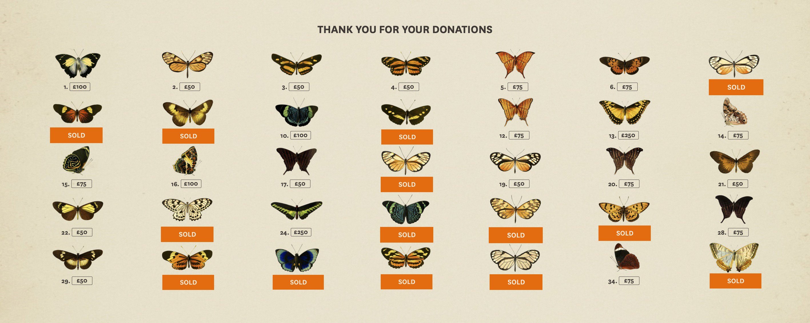 Illustrated butterflies