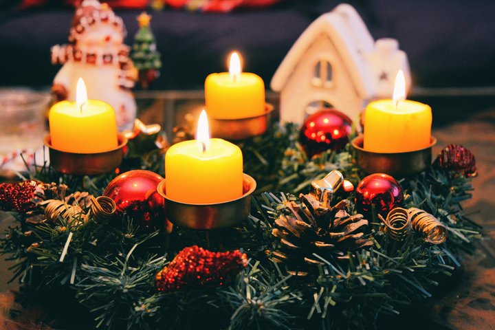 Flowers for Christmas