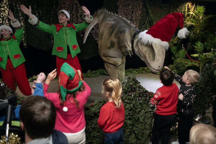 Festive dino show - kids, elves and a t-rex costumed peformer