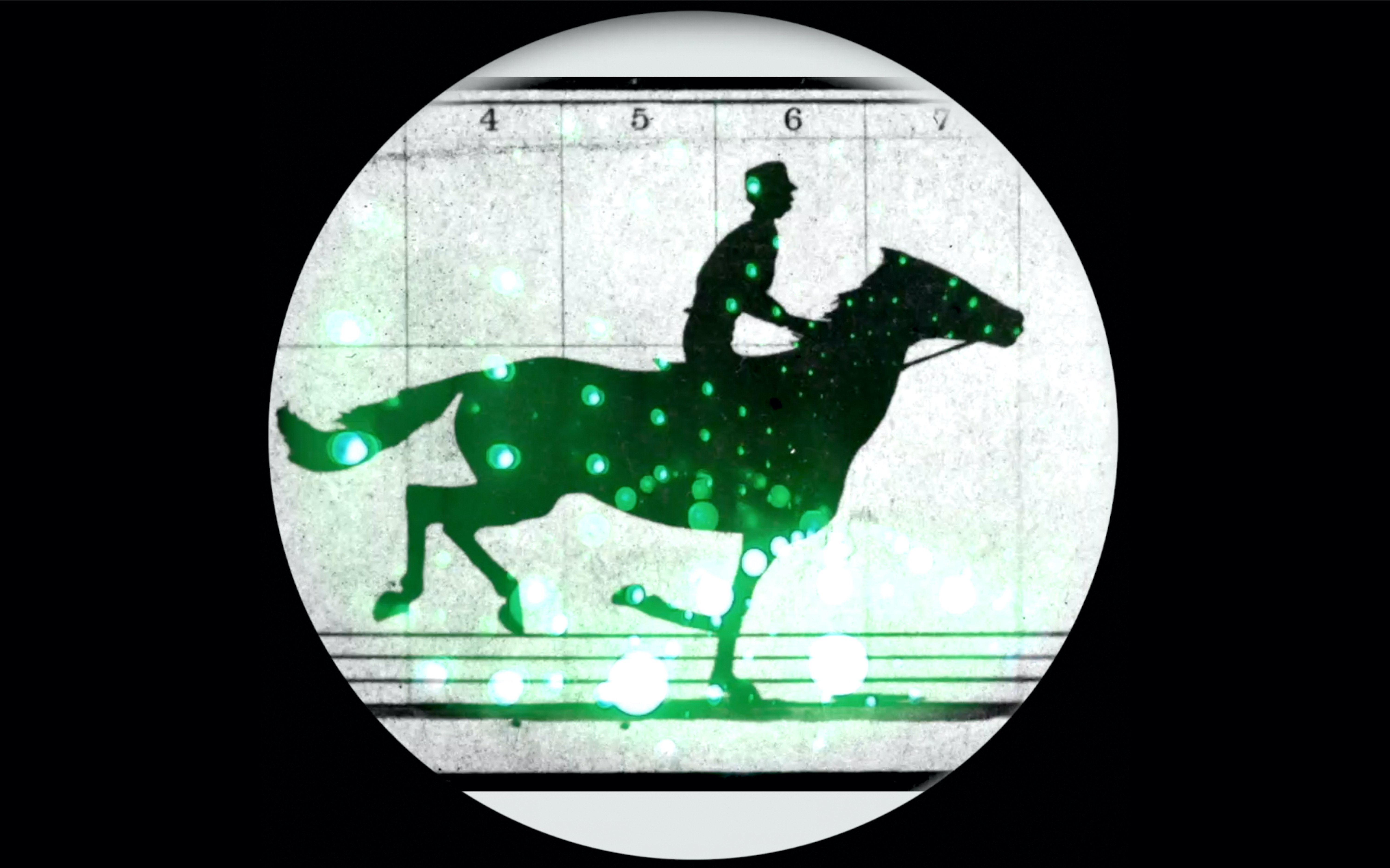 A silhouette of a horse and rider.  
