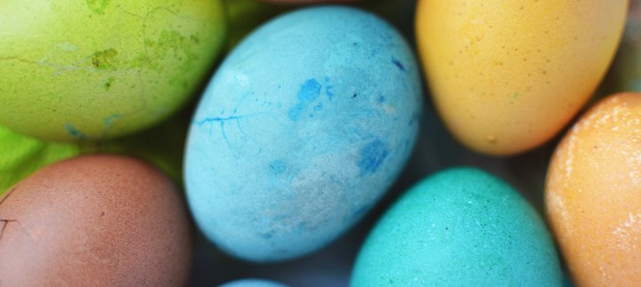 coloured eggs