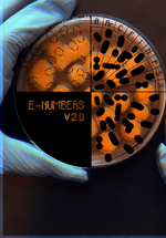 E-Numbers v2.0