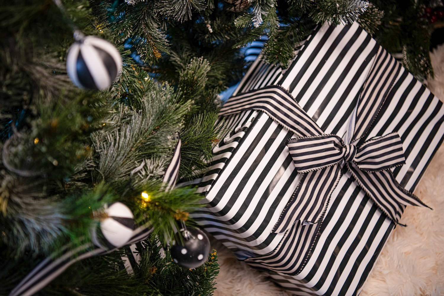 Christmas gift underneath the tree.