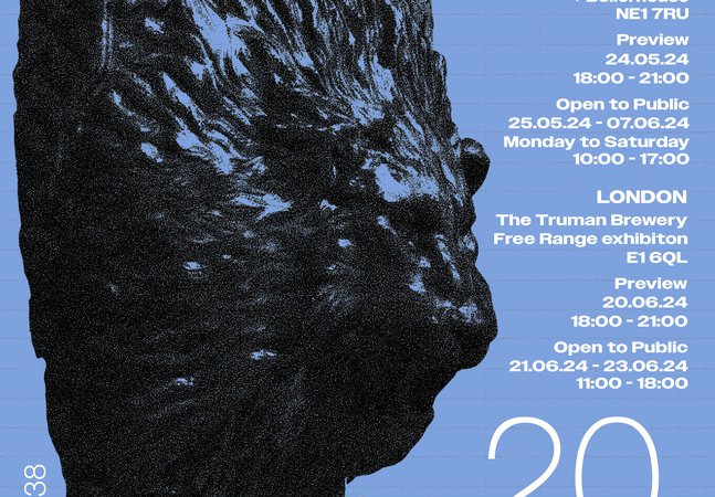 Newcastle University BA Fine Art Degree Show 2024 poster