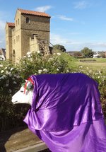 Model sheep in purple cloak next to the rose bush with West Gate in background