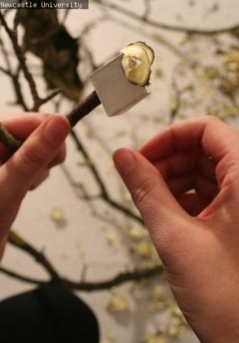 Fine Art Degree Image 