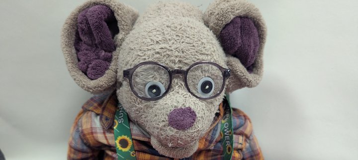 Toy Mouse Reading