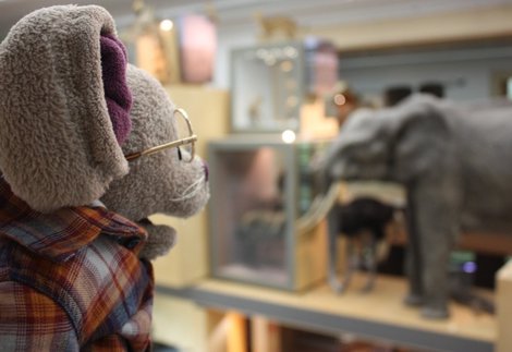 Creatures Great and Small