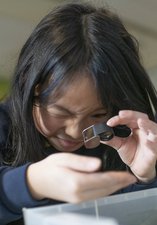Schoolchild using magnifying glass