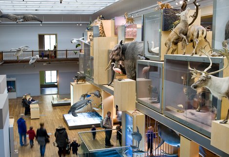 North Museum Christmas Hours 2022 Planning Your Visit | Great North Museum: Hancock