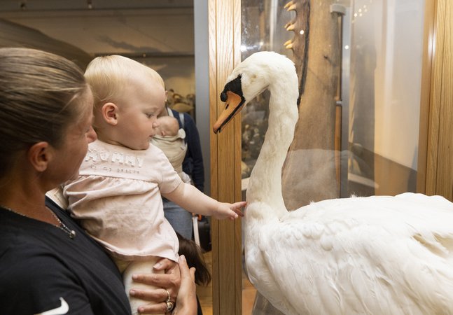 A woman and baby look at a swan