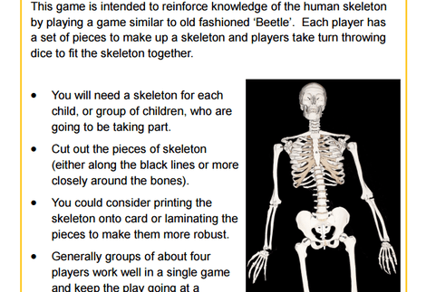Skeletons Game - in school version