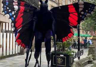 Woodland Walk Celebration Day featuring walking butterflies