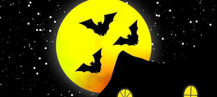 bats in front of moon graphic
