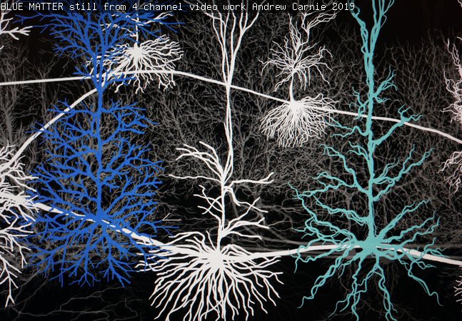 BLUE MATTER still from 4 channel video work Andrew Carnie 2019