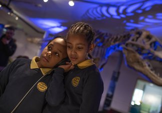 Schoolchildren at Great North Museum.