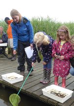 Exploration Day at Gosforth Nature Reserve