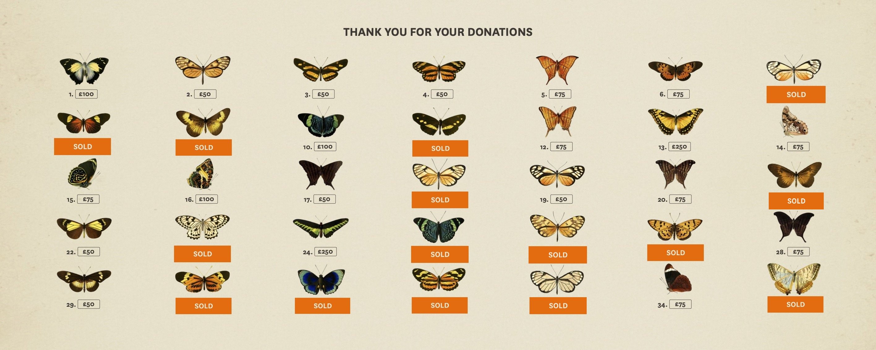 Illustrated butterflies