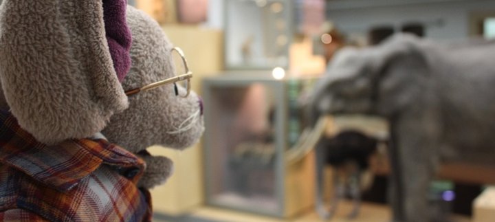 Creatures Great and Small