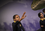 A child reaches out to touch a plastic dinosaur model