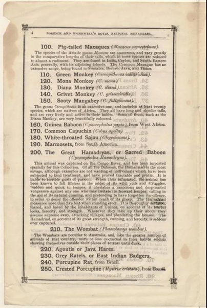 The descriptive catalogue which details the animals on display in the Menagerie, with a Crested Porcupine listed ( © January 7th 1882 The Johnson and Johnson collection, Oxford University)