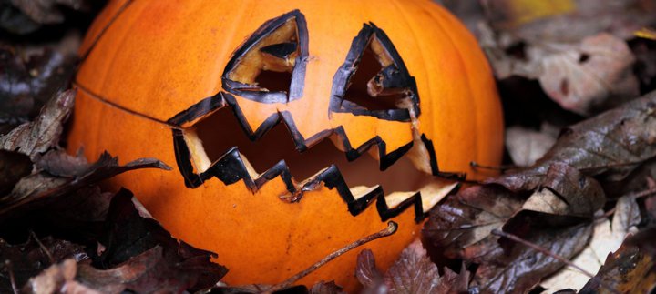 Halloween pumpkin in a bed of leaves