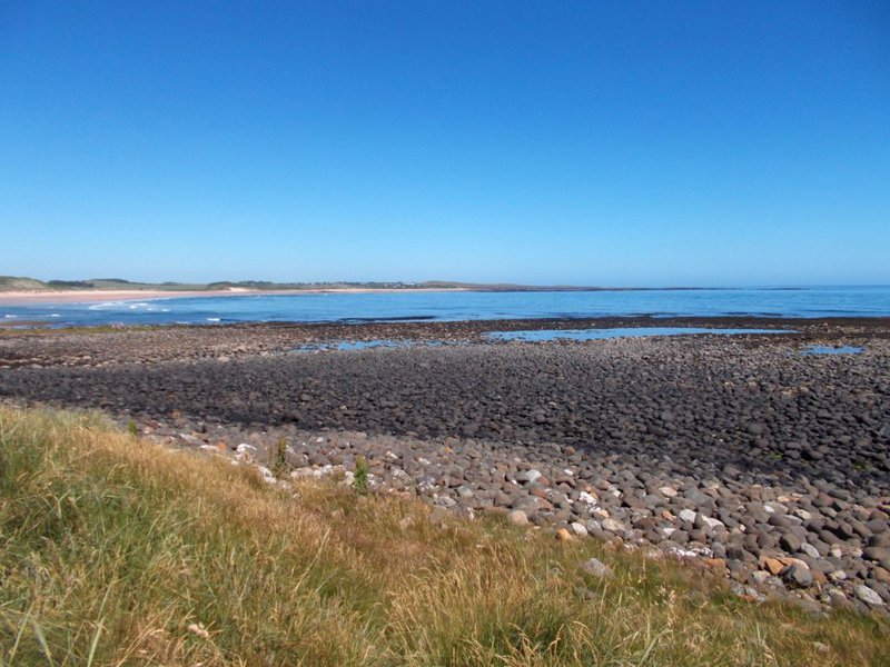 Photo of pebbles of quartz dolerite on the beach near Dunstanburgh, Northumberland.