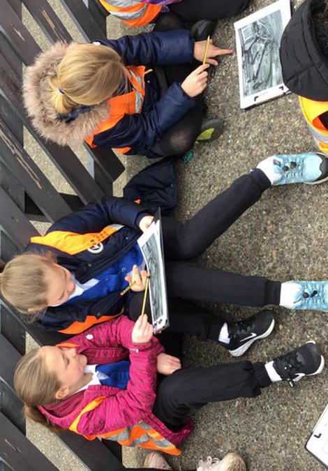 Investigating the local heritage and habitat