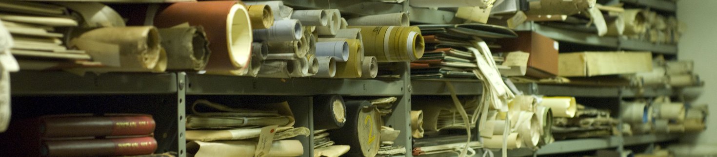 Photo of shelves of rolled up scrolls and papers