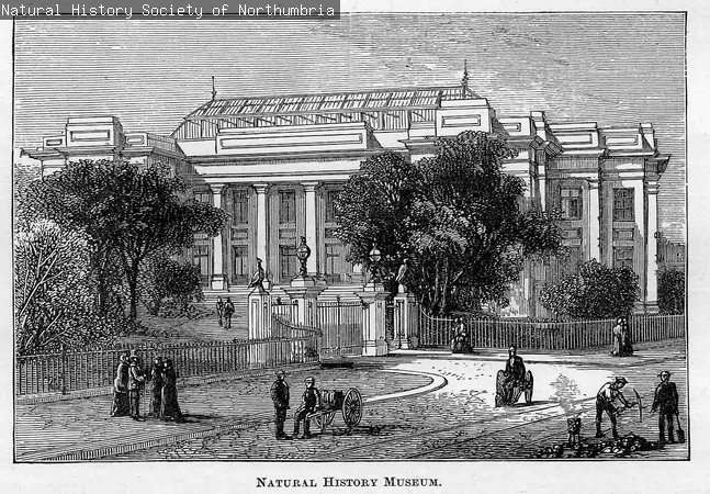 a drawing of the Hancock Museum