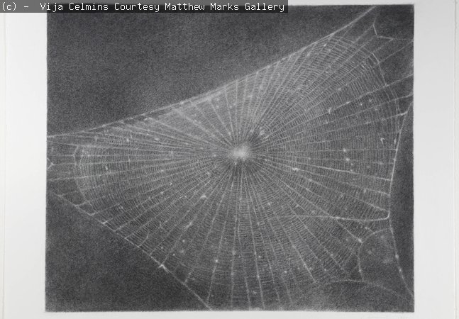 A drawing of a spider web