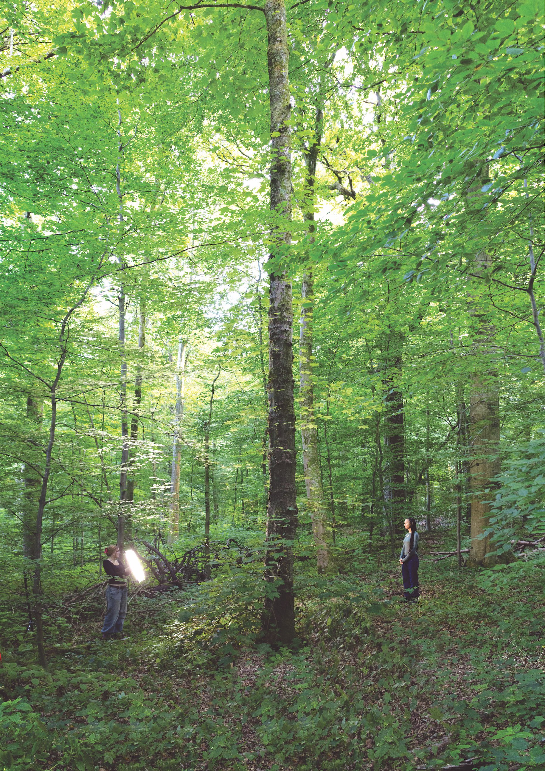 Production still from Some Kind of Love/Forest Choir a five-channel video installation with sound by Uta Kögelsberger, 2025