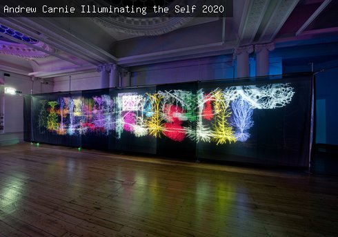 Andrew Carnie, Illuminating the Self, 2020 2
