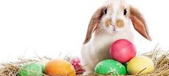 Easter bunny
