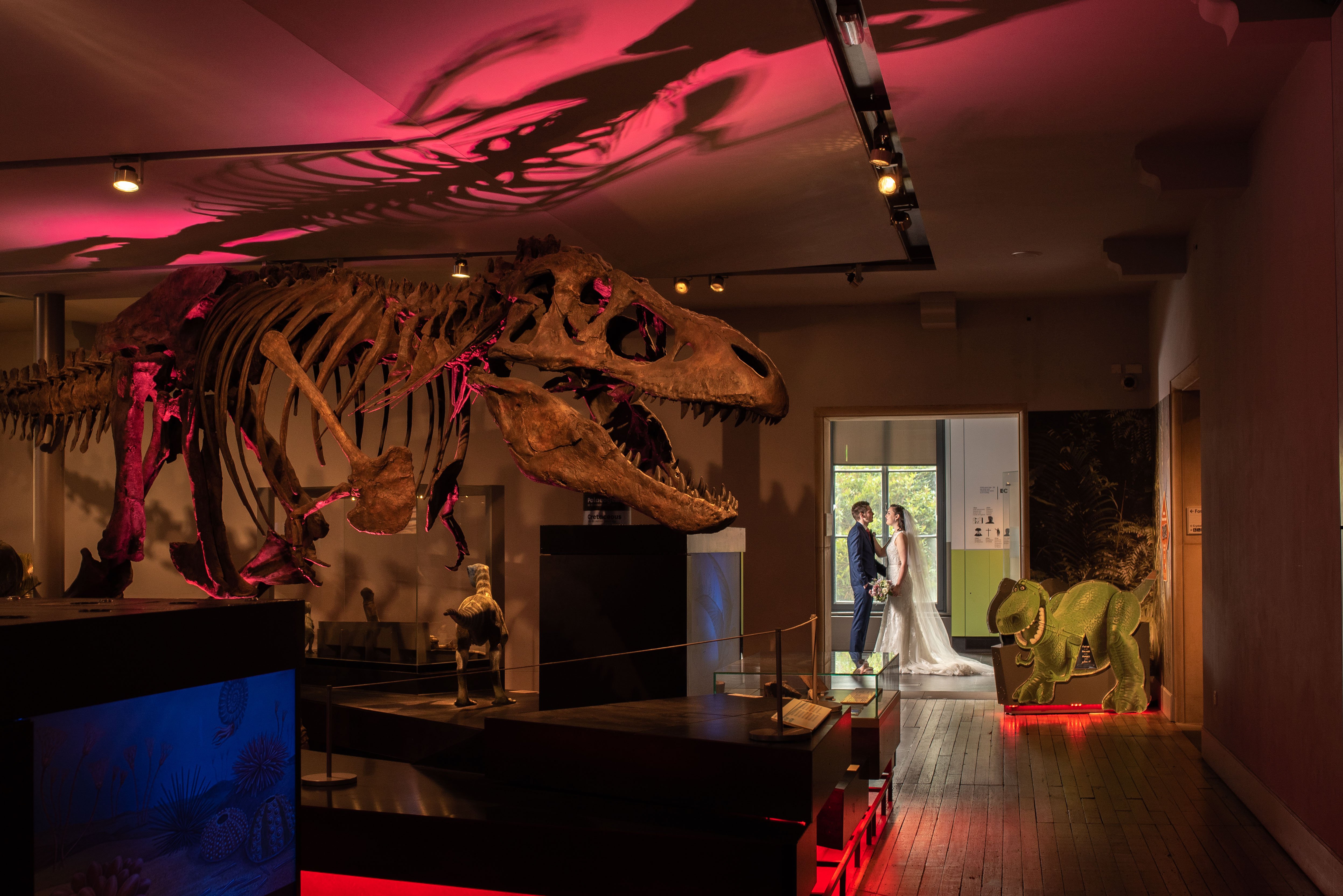 Great North Museum: Hancock wedding photograph by Laurence Sweeney Photography