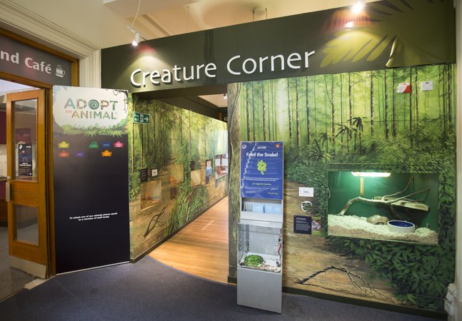 Creature Corner