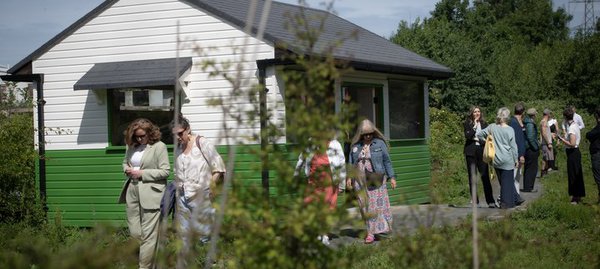 The Big Schools Bird Watch