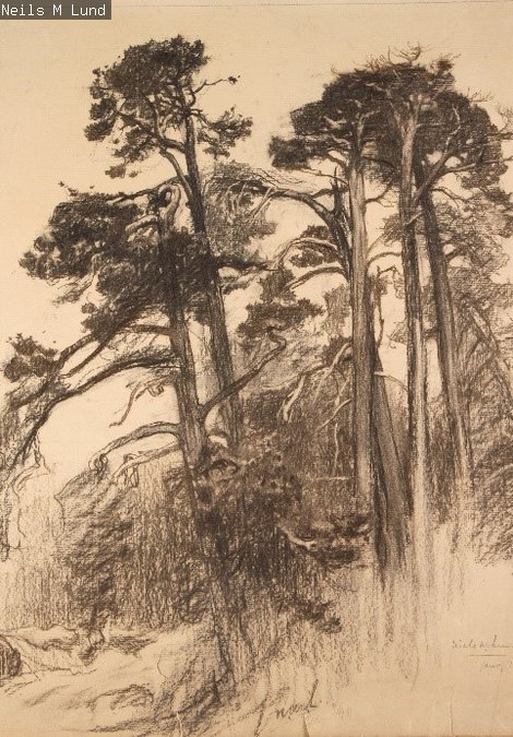 Fir Trees of Island of Killin by Niels Lund