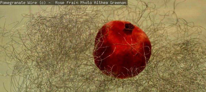Pomegranate Wire. © Rose Frain. Photo, Althea Greenan.