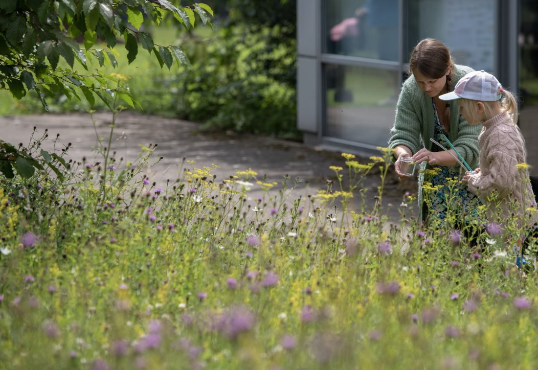 A woman and child look at a glass jar next to a bed of flowers A woman and child look at a glass jar next to a bed of flowers
