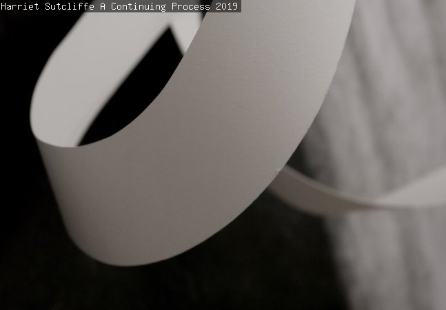 A close up image of artwork by Harriet Sutcliffe