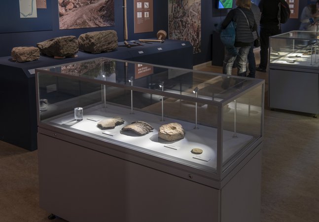 Roman pottery in exhibition case