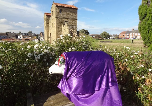 Model sheep in purple cloak next to the rose bush with West Gate in background