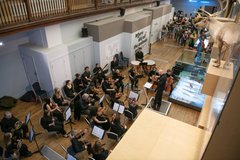 Newcastle University Orchestra 