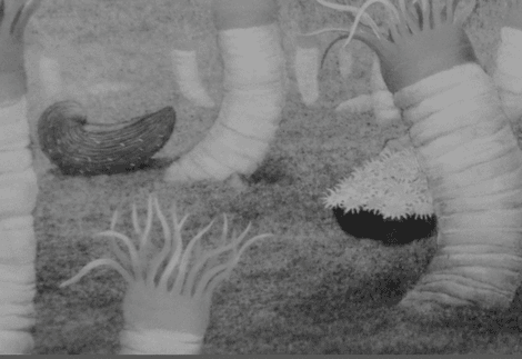 Explore Gallery print. 