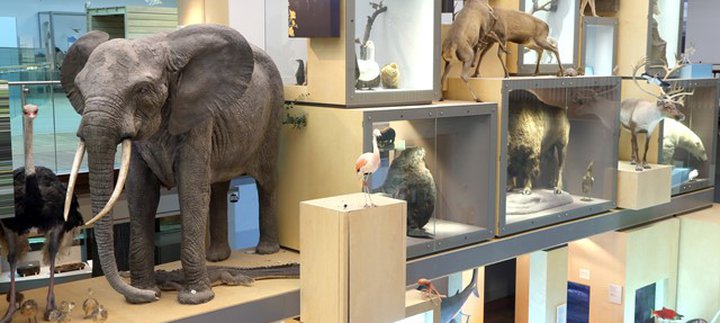 Living Planet gallery