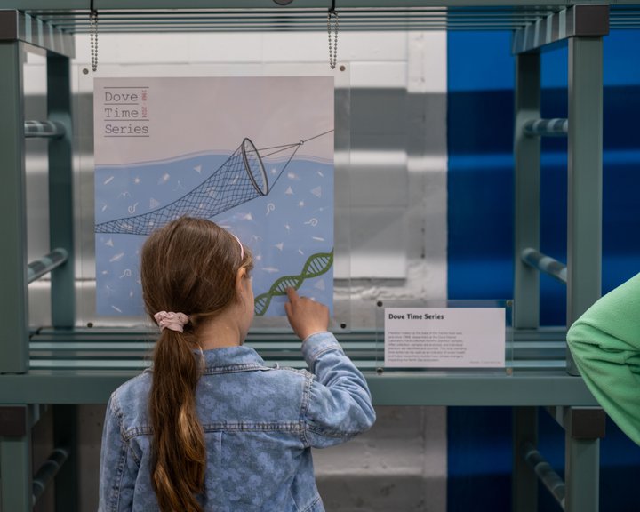 Young girl looking at Picture This exhibition