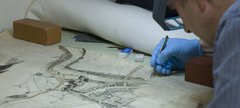 Conservation work on an old map