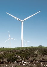 Wind turbines in a field against blue skies